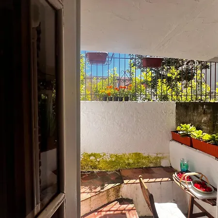 Apartment Casa In Pelleria