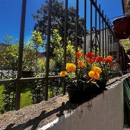 Apartment Casa In Pelleria